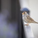 九州娱乐酷游的独特魅力,游戏爱好者的天堂之旅 7jiirzh0