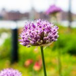 九州平台娱乐的魅力:如何选择适合自己的游戏项目 bjno7