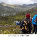 乐虎娱乐:探索全新在线娱乐平台的无限魅力 guku7sz