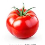 乐鱼网址:畅享精彩体育赛事直播与竞猜体验 nx5w5ek71