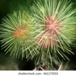 17025期体育彩票开奖结果最新公布 1gtml