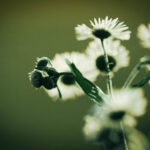 17026期足彩开奖结果揭晓,奖金分配详情公布 2ebwoj