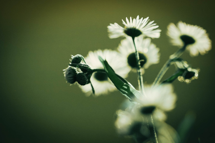 17026期足彩开奖结果揭晓,奖金分配详情公布 17026期足彩开奖结果揭晓,奖金分配详情公布