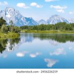 168极速开奖网:实时开奖数据与中奖信息查询平台 2sjwgsd