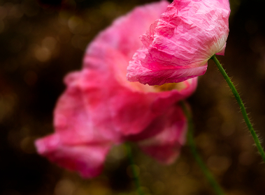 17046期足彩开奖结果揭晓,大奖花落谁家? 17046期足彩开奖结果揭晓,大奖花落谁家?