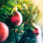 360电视直播网:畅享高清流畅的在线电视频道盛宴 80u19hwhj7