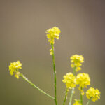 360电视在线直播观看高清流畅不卡顿 9k3j5dk