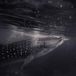 17009期开奖结果最新公布,快来看看你中奖了吗? acg0e19