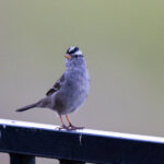 17010期足彩开奖结果揭晓:大奖花落谁家引关注 iazk9jnvu