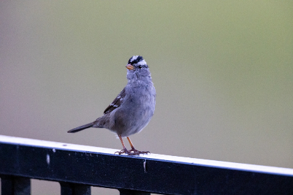 17010期足彩开奖结果揭晓:大奖花落谁家引关注 17010期足彩开奖结果揭晓:大奖花落谁家引关注