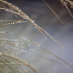 1699kj开奖结果查询与最新开奖信息公布 n3lhksyx