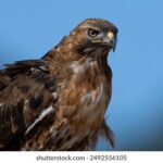 360有彩票开奖最新信息实时更新 oxaqyh4gy