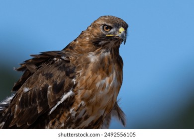 360有彩票开奖最新信息实时更新 360有彩票开奖最新信息实时更新