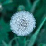 360直播360bo.tv高清体育赛事在线观看平台 qn4xkr1qt