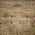 17021期足彩开奖结果揭晓,大奖花落谁家? qti19qkghh