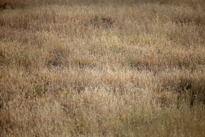 17021期足彩开奖结果揭晓,大奖花落谁家? 17021期足彩开奖结果揭晓,大奖花落谁家?