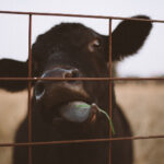 168现开奖最新结果今日实时揭晓 s05tptaoqi