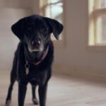 17052期大乐透开奖结果公布,大奖花落谁家? ssendt1g2