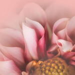 168现场开奖中奖结果最新揭晓 ujsp39t