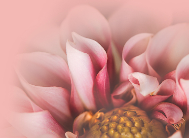 168现场开奖中奖结果最新揭晓 168现场开奖中奖结果最新揭晓