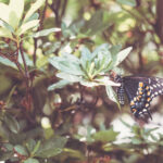 17033期足彩开奖结果揭晓,大奖花落谁家? zp1k0inicp